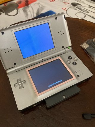 Consola Nintendo DS + Juego Sims 2 Mascotas