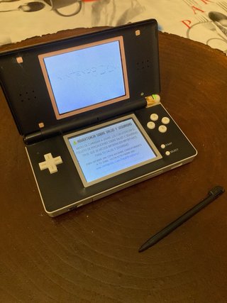 Nintendo DS lite + Brain Training Juego