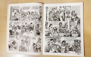 🇪🇸 Cómic "Dinámico y otros personajes perdidos".