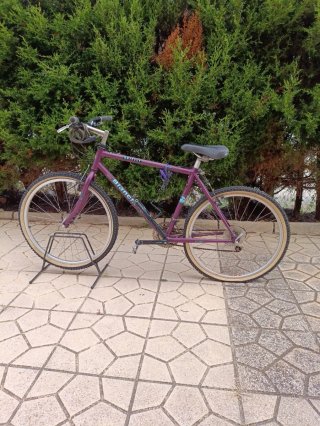 Bicicleta Bianchi Grizzly Montaña