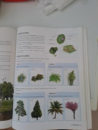 Biología Y Geología 1 Secundaria