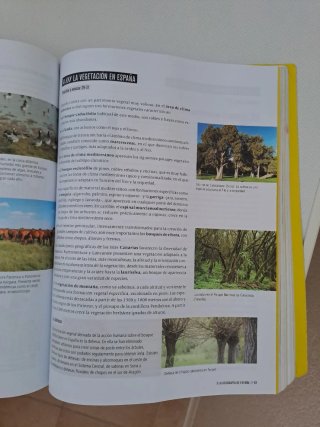 Geografía e Historia 1 ESO. FANFEST