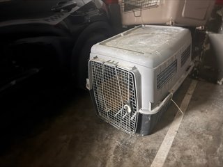 Transportín Perro Grande Rígido IATA