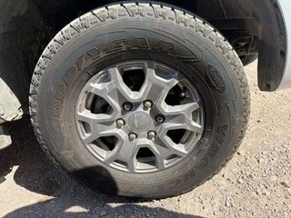 Ford Ranger 2.0 TDCi 118kW 4x4 Dob Cab. XLT Ltd S/S