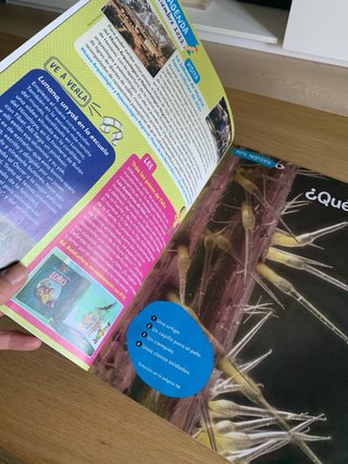 Revista “Reportero Doc. La vida en la sabana”