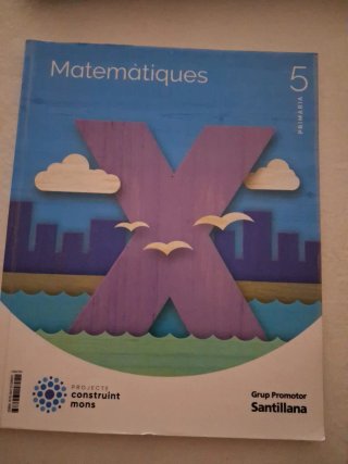 MATEMATIQUES 5 PRIMARIA CONSTRUINT MONS