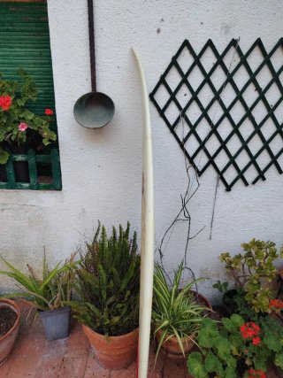 Tabla Surf U-TURN M. Haynes