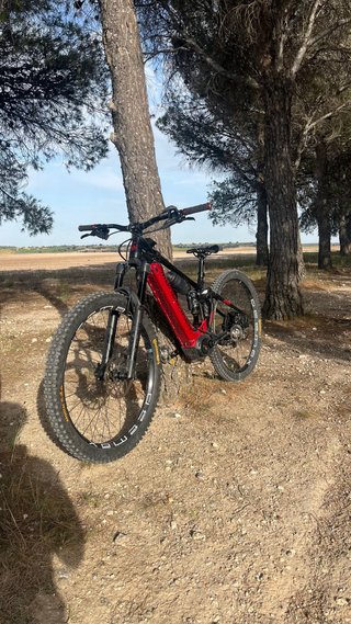 Mondraker Crafty 2023