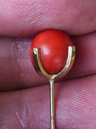 Pendientes oro 750 y coral rojo