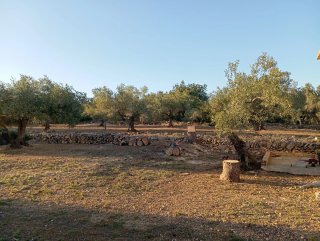 Finca rústica en L'Ampolla