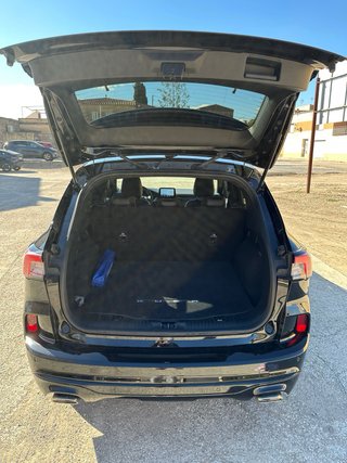 Ford Kuga ST-Line X