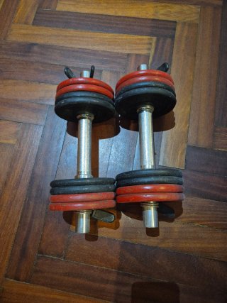 Mancuernas ajustables 12 kg