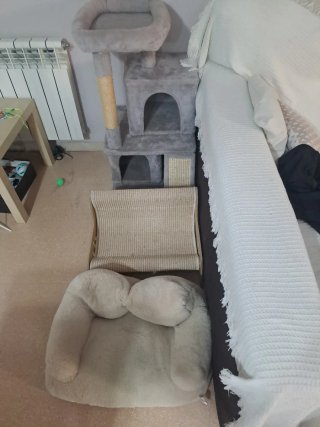 Rascador, sillón y butaca para gatos