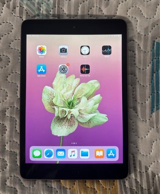 Apple iPad Mini 2