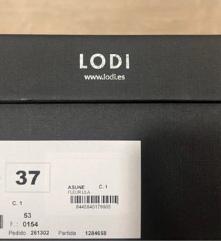 Zapatos Lodi fiesta morados y dorados
