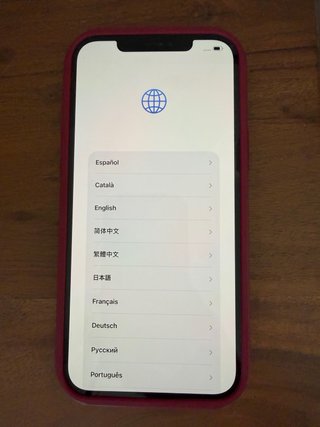iPhone 12 Pro Max Blanco