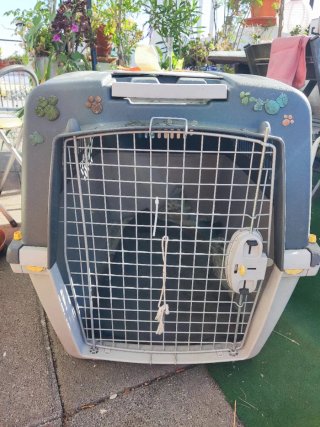 Transportín perro mediano homologado avión