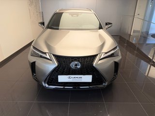 Lexus UX300H F-SPORT 2026 REF 4014