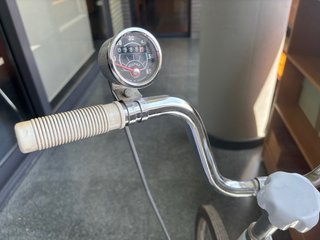 Bicicleta Estática BH Antigua