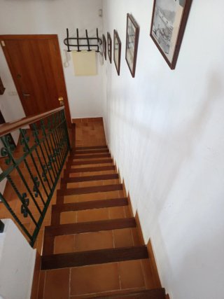 Pintura Muebles y Fachadas albañilería