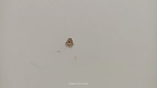 Estantería de pared blanca