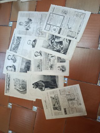 Grabados Ilustración Española y Americana 1875