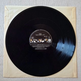 Vinilo Sting Edición Limitada