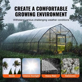 Cubierta Plástica para Invernadero 12 x 50 pies, Película de Invernadero Transparente de 6 Mil de Grosor, Película de Polietileno Resistente a UV por 4 Años, para Jardinería, Agricultura, Agricult...