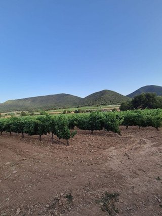 Terreno en venta en Bullas