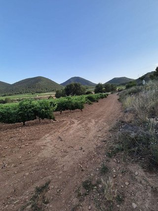 Terreno en venta en Bullas