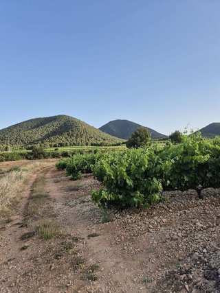 Terreno en venta en Bullas