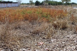Terreno en venta en Zona Playa en Burriana