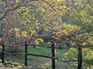 Terreno en venta en Villares (Los)