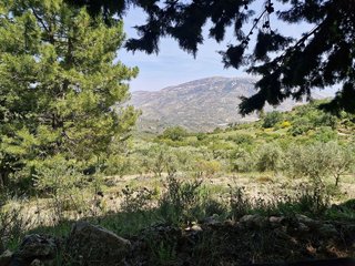 Terreno en venta en Villares (Los)