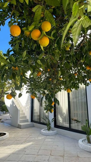 Casa en alquiler en Nueva Andalucía centro en Marbella