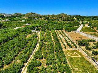 Terreno en venta en Pego