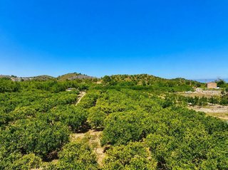 Terreno en venta en Pego