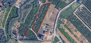 Terreno en venta en Pego