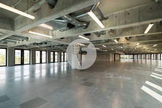 Oficina en alquiler en El Parc i la Llacuna del Poblenou en Barcelona