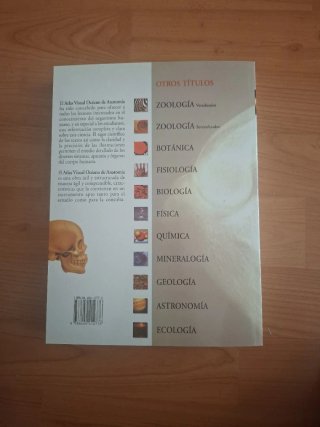 Anatomía