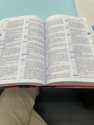 Diccionario Primaria lengua española