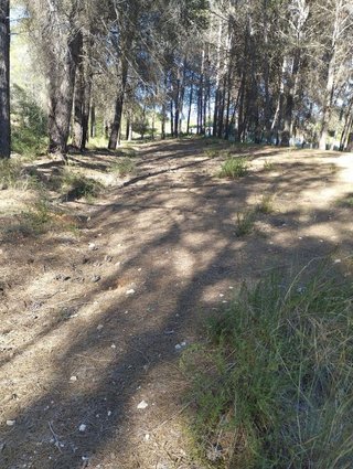 Terreno en venta en Olleria (l´)