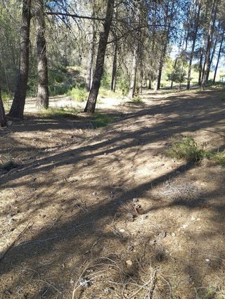 Terreno en venta en Olleria (l´)