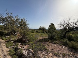 Terreno en venta en Las Pedrizas en Chiva