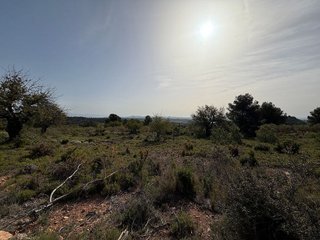 Terreno en venta en Las Pedrizas en Chiva
