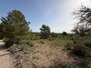 Terreno en venta en Las Pedrizas en Chiva