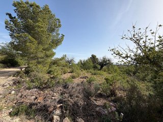 Terreno en venta en Las Pedrizas en Chiva