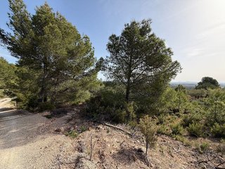 Terreno en venta en Las Pedrizas en Chiva