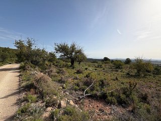 Terreno en venta en Las Pedrizas en Chiva