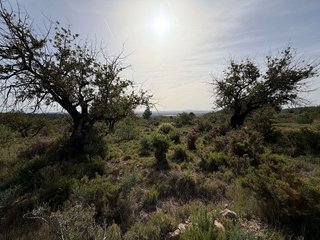 Terreno en venta en Las Pedrizas en Chiva
